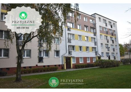 Mieszkanie na sprzedaż - Grunwald, Poznań, 47 m², 535 000 PLN, NET-46