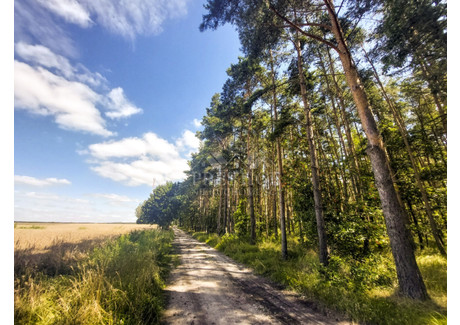 Działka na sprzedaż - Ostrowo, Strzelno, Mogileński, 10 700 m², 70 000 PLN, NET-932965