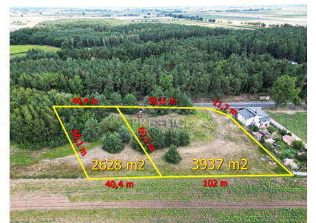 Działka na sprzedaż - Modliborzyce, Dąbrowa Biskupia, Inowrocławski, 6565 m², 656 500 PLN, NET-280921