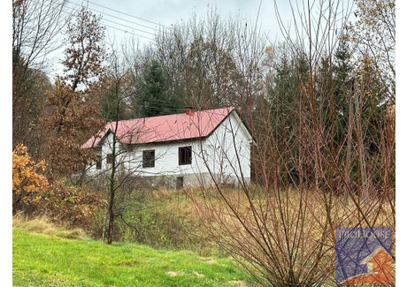 Dom na sprzedaż - Kisielówka, Limanowa, Limanowski, 100 m², 260 000 PLN, NET-PROH-DS-429