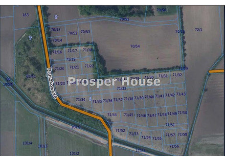 Działka na sprzedaż - Pogroszew-Kolonia, Ożarów Mazowiecki, Warszawski Zachodni, 20 600 m², 8 240 000 PLN, NET-GS-55888