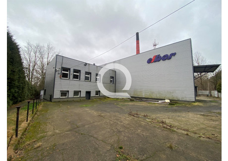 Magazyn na sprzedaż - Łęczyce, Wejherowski, 727 m², 2 300 000 PLN, NET-QRC-HS-7289