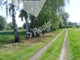 Rolny na sprzedaż - Różanów, Wiskitki, Żyrardowski, 60 100 m², 4 000 000 PLN, NET-11156/3376/OGS