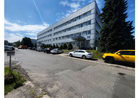 Lokal do wynajęcia - Żwirki I Wigury Nowy Świat, Mikołów, 25,15 m², 805 PLN, NET-822451