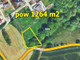 Działka na sprzedaż - Mikołów, Mikołowski, 1264 m², 310 000 PLN, NET-5761/3123/OGS