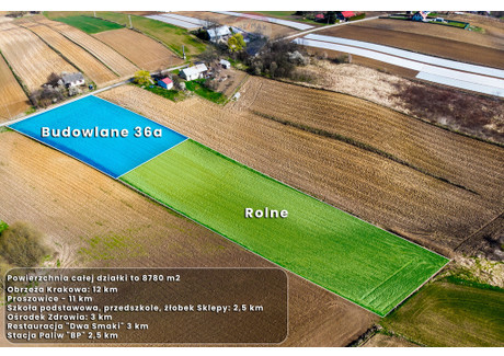 Działka na sprzedaż - Wawrzeńczyce, Igołomia-Wawrzeńczyce, Krakowski, 8780 m², 348 000 PLN, NET-2688/2680/OGS