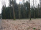 Leśne na sprzedaż - Budzów, Suski, 1100 m², 20 000 PLN, NET-5491/3123/OGS