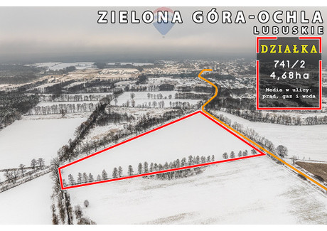 Działka na sprzedaż - Ochla-Żagańska Zielona Góra, 46 800 m², 7 500 000 PLN, NET-118/9148/OGS