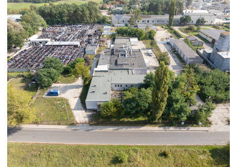 Magazyn, hala na sprzedaż - Bolesława Chrobrego Miedzychód, Międzychód, Międzychodzki, 1500 m², 1 499 000 PLN, NET-64/3953/OOS