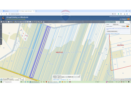 Działka na sprzedaż - Międzyleś, Miedzna, Węgrowski, 5009 m², 26 598 PLN, NET-638/3992/OGS