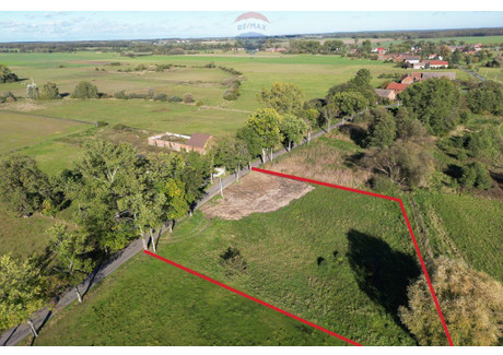 Działka na sprzedaż - Witków, Szprotawa, Żagański, 4200 m², 60 000 PLN, NET-102/9148/OGS