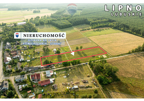 Działka na sprzedaż - Lipno, Świdnica, Zielonogórski, 5700 m², 136 000 PLN, NET-28/9148/OGS