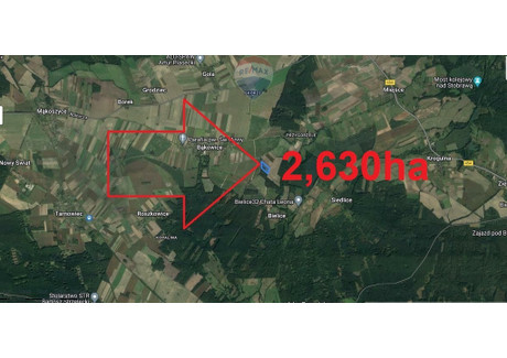 Działka na sprzedaż - Bielice, Świerczów, Namysłowski, 26 300 m², 119 000 PLN, NET-283/3088/OGS
