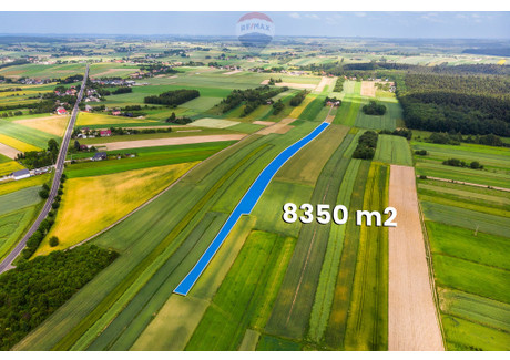 Działka na sprzedaż - Skała, Krakowski, 8350 m², 78 500 PLN, NET-2451/2680/OGS