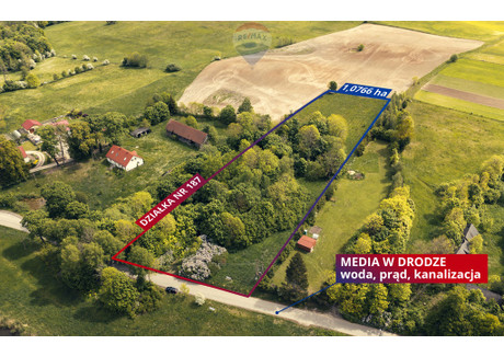 Działka na sprzedaż - Jeziorko, Ryn, Giżycki, 10 800 m², 299 000 PLN, NET-619/3992/OGS