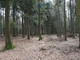 Leśne na sprzedaż - Budzów, Suski, 1200 m², 20 000 PLN, NET-5494/3123/OGS