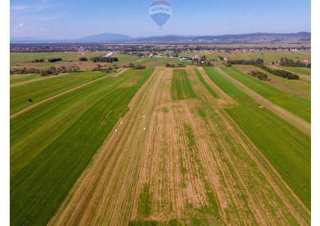 Działka na sprzedaż - Stare Bystre, Czarny Dunajec, Nowotarski, 5013 m², 60 000 PLN, NET-2598/2680/OGS