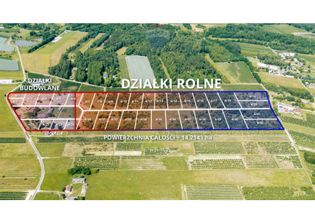 Działka na sprzedaż - Nowina-Przęsławice, Pniewy, Grójecki, 3818 m², 160 930 PLN, NET-670/3992/OGS