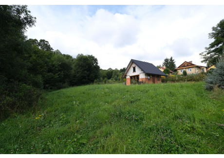 Dom na sprzedaż - Wesoła, Nozdrzec (gm.), Brzozowski (pow.), 35 m², 165 000 PLN, NET-1011