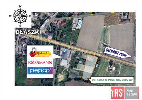 Działka na sprzedaż - Lubanów, Błaszki, Sieradzki, 8500 m², 1 062 500 PLN, NET-RS-GS-939970