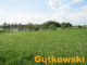 Działka na sprzedaż - Jamielnik Nowe Miasto Lubawskie, Nowomiejski (Pow.), 10 005 m², 590 000 PLN, NET-3419-A