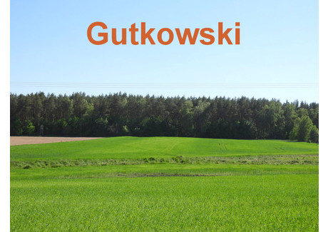 Działka na sprzedaż - Ławice, Iława (Gm.), Iławski (Pow.), 16 200 m², 199 000 PLN, NET-3793