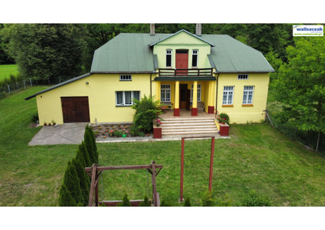 Dom na sprzedaż - Piwaki, Łęki Szlacheckie, Piotrkowski, 300 m², 580 000 PLN, NET-DS-13791
