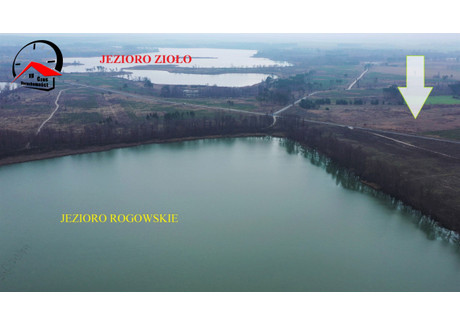 Działka na sprzedaż - Rzym, Rogowo, Żniński, 87 700 m², 668 000 PLN, NET-530712