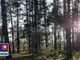 Leśne na sprzedaż - Patrzyków Pajęczno, Pajęczański, 19 200 m², 40 000 PLN, NET-132