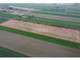 Rolny na sprzedaż - Jodłowa Malinowa, Piotrków Trybunalski, 35 585 m², 1 958 000 PLN, NET-5639