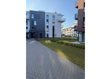 Mieszkanie do wynajęcia - Leśnych Skrzatów Grunwald Północ, Grunwald, Poznań, 41,5 m², 2950 PLN, NET-W/XII/1