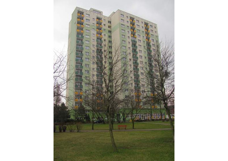 Mieszkanie do wynajęcia - Osiedle Lecha Rataje, Poznań, 46 m², 1800 PLN, NET-1120/W/2024