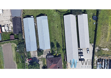 Hala do wynajęcia - Sokołowska Wypędy, Raszyn, 700 m², 10 000 PLN, NET-WIL338205