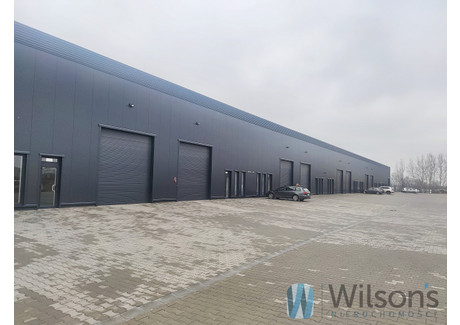 Magazyn do wynajęcia - Michałowice, 320 m², 10 560 PLN, NET-WIL768282