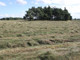 Rolny na sprzedaż - Herburtowo, Wieleń, Czarnkowsko-Trzcianecki, 671 630 m², 2 350 700 PLN, NET-54410868