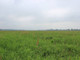 Rolny na sprzedaż - Kłosów, Mieszkowice, Gryfiński, 385 931 m², 1 350 700 PLN, NET-54360868