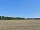 Rolny na sprzedaż - Besiekierz Nawojowy, Zgierz, Zgierski, 3854 m², 154 160 PLN, NET-AFK-GS-2437