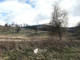 Rolny na sprzedaż - Zielone Wzgórze Sierpnica, Głuszyca, Wałbrzyski, 12 700 m², 500 000 PLN, NET-TC698526