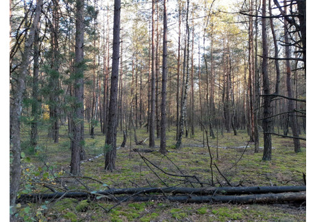 Działka na sprzedaż - Kąty, Mały Płock, Kolneński, 4100 m², 30 000 PLN, NET-2266