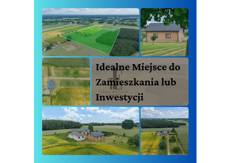 Działka na sprzedaż - Czarnoty, Nowe Miasto, Płoński, 7300 m², 650 000 PLN, NET-EC007966216871