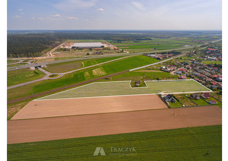 Działka na sprzedaż - Korzeńsko, Żmigród, Trzebnicki, 16 795 m², 1 175 650 PLN, NET-TRA-GS-4643