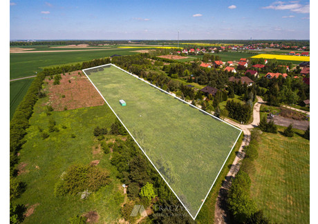 Działka na sprzedaż - Bogdaszowice, Kąty Wrocławskie, Wrocławski, 12 208 m², 799 999 PLN, NET-TRA-GS-4627