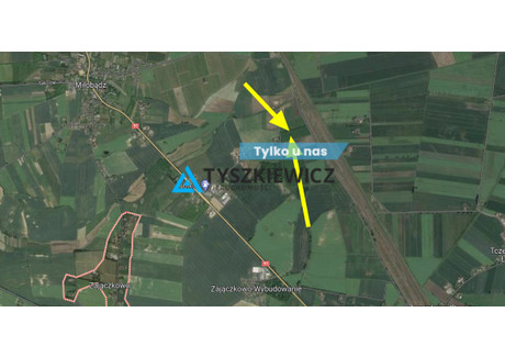 Działka na sprzedaż - Zajączkowo, Tczew, Tczewski, 21 740 m², 1 739 200 PLN, NET-TY328471