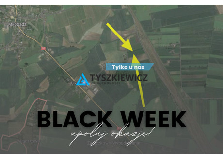 Działka na sprzedaż - Zajączkowo, Tczew, Tczewski, 21 740 m², 1 282 660 PLN, NET-TY328471