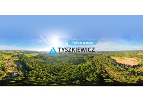 Działka na sprzedaż - Piechowice, Dziemiany, Kościerski, 7500 m², 50 000 PLN, NET-TY411191