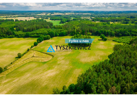 Działka na sprzedaż - Olszewiec, Miastko, Bytowski, 79 336 m², 360 000 PLN, NET-TY557770