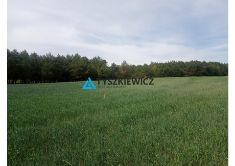 Działka na sprzedaż - Dąbrowa, Kaliska, Starogardzki, 1033 m², 139 290 PLN, NET-TY474448