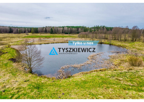 Działka na sprzedaż - Zielin, Trzebielino, Bytowski, 59 900 m², 329 450 PLN, NET-TY150497