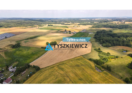 Działka na sprzedaż - Szczodrowo, Skarszewy, Starogardzki, 38 300 m², 2 949 100 PLN, NET-TY765388