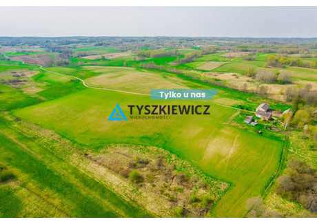 Działka na sprzedaż - Nowe Huty, Tuchomie, Bytowski, 12 200 m², 100 000 PLN, NET-TY748237